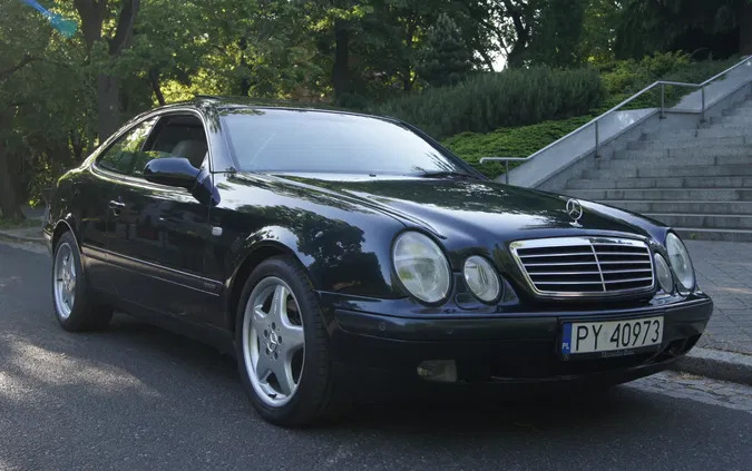 pomorskie Mercedes-Benz CLK cena 26900 przebieg: 193228, rok produkcji 1997 z Poznań